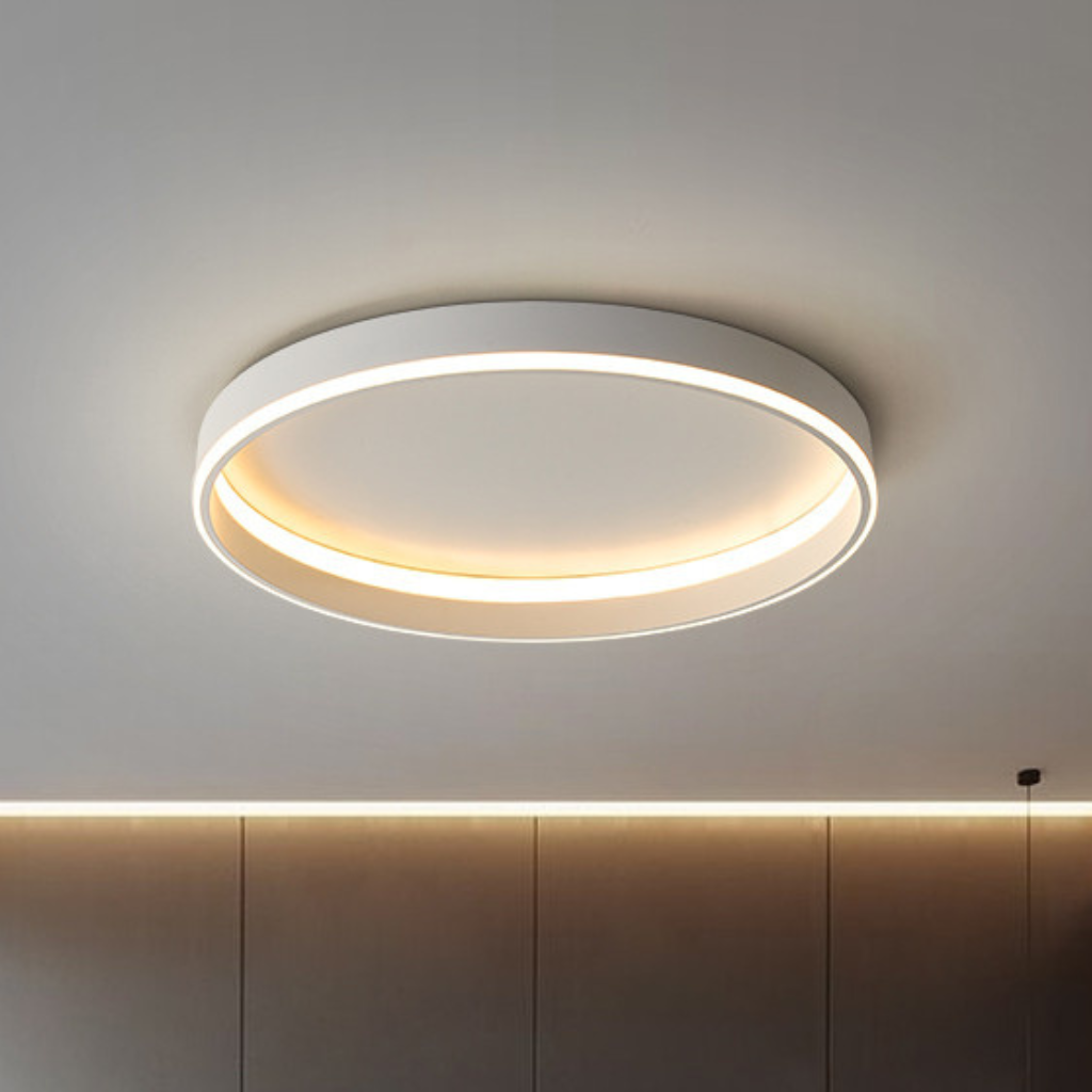 The Chronelle Modern Nordic Wall Ceiling Light