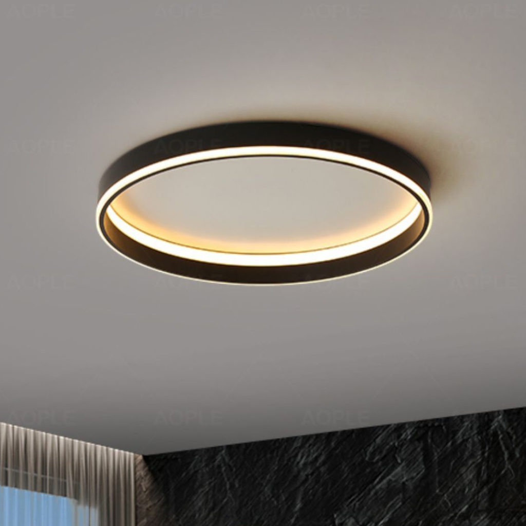 The Chronelle Modern Nordic Wall Ceiling Light