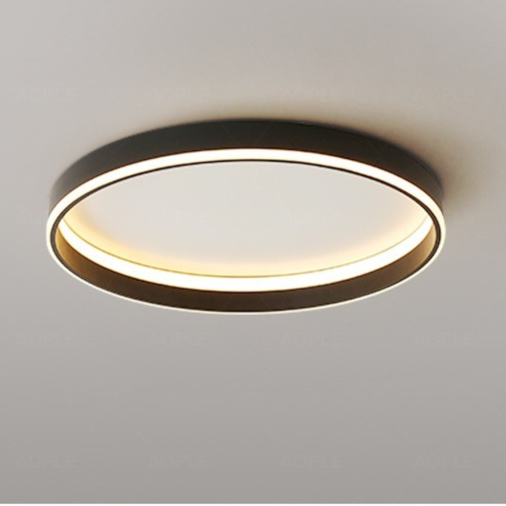 The Chronelle Modern Nordic Wall Ceiling Light
