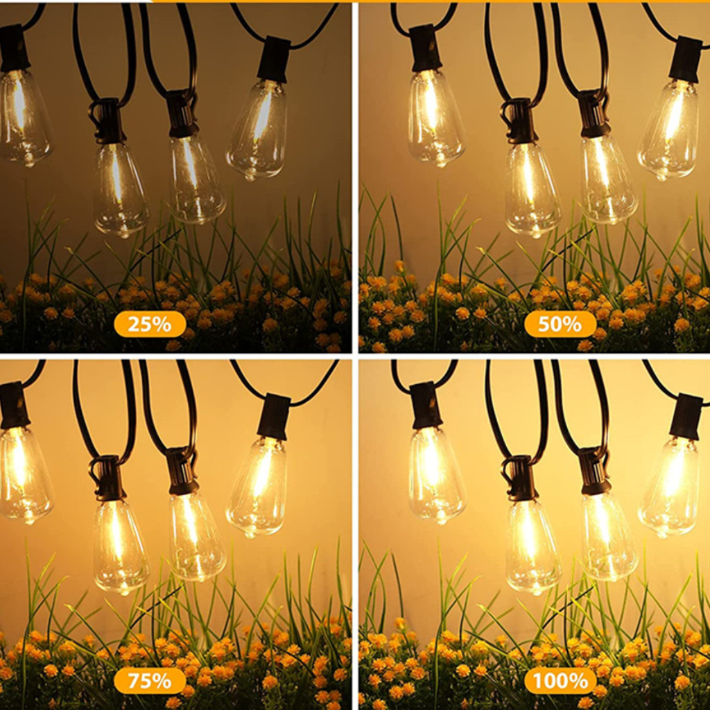 The Festiva Outdoor Garden LED Globe String Lights