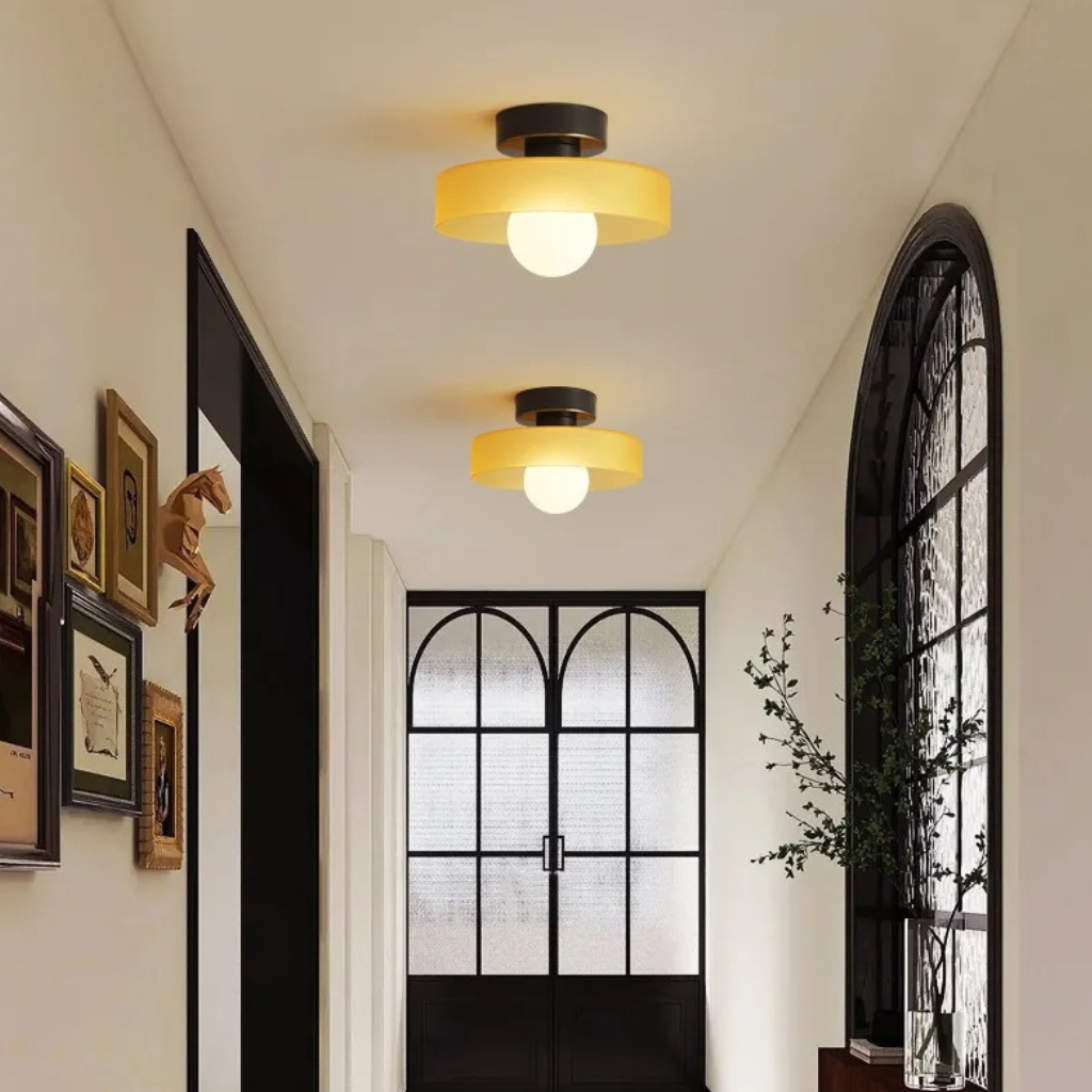 The Lumex Modern LED Ceiling Light