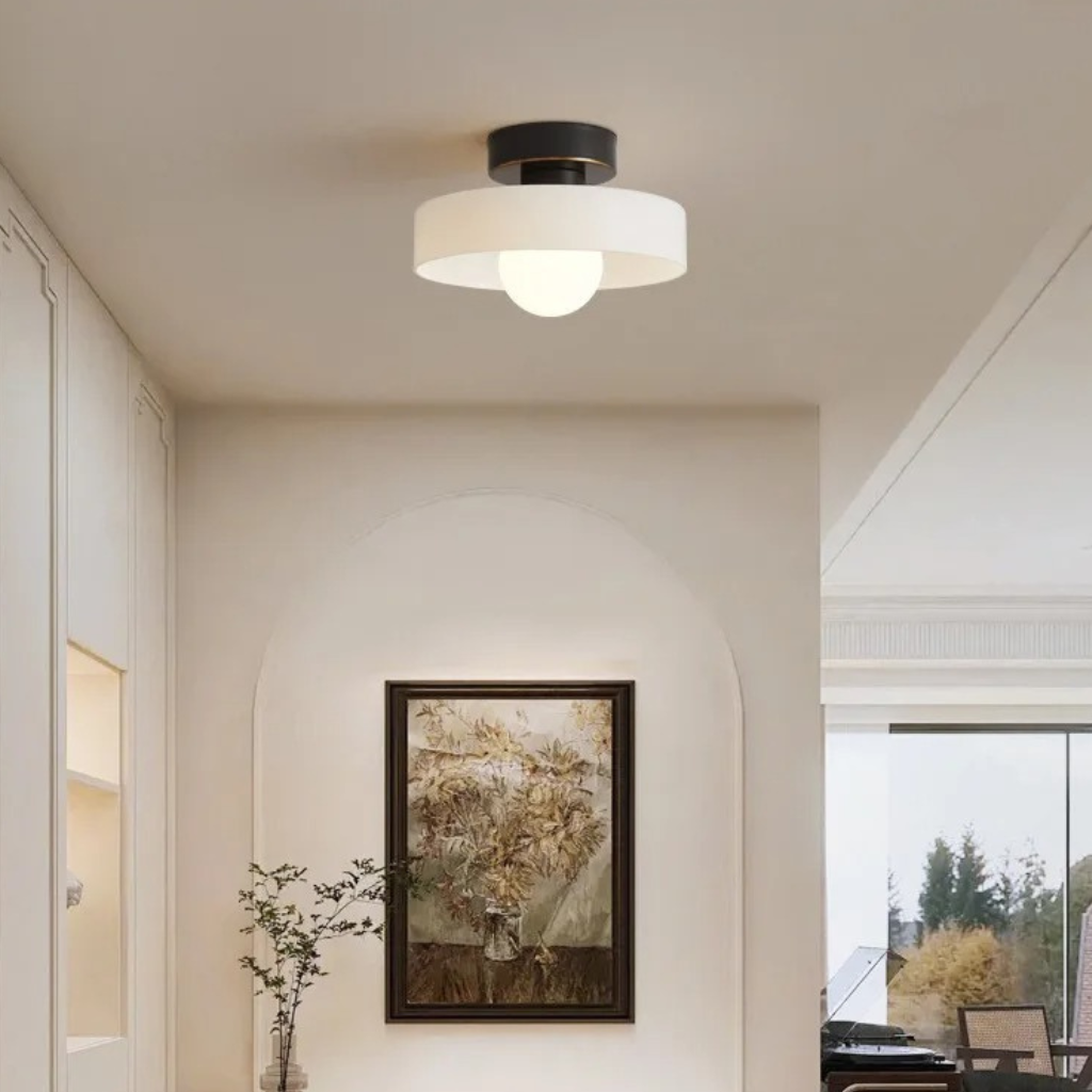 The Lumex Modern LED Ceiling Light
