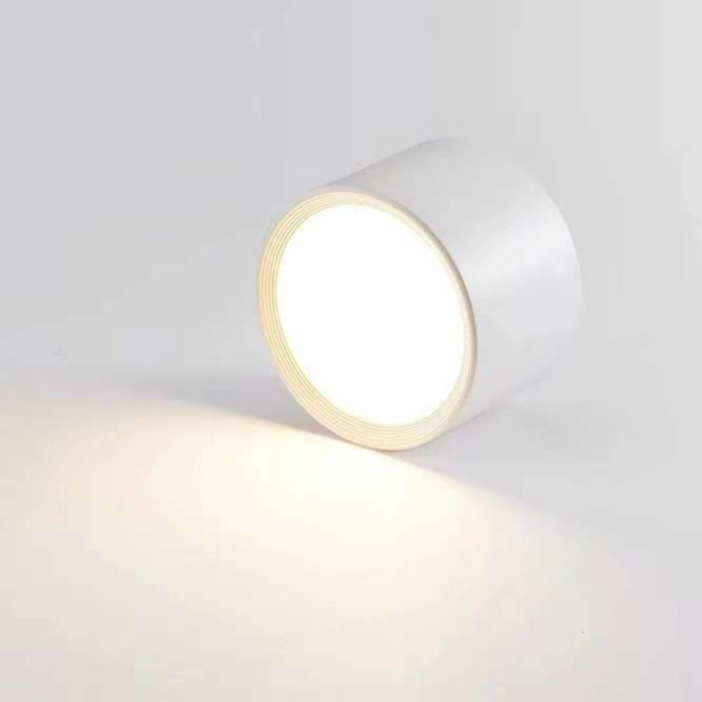 The Lumivane Nordic LED Ceiling Spotlight