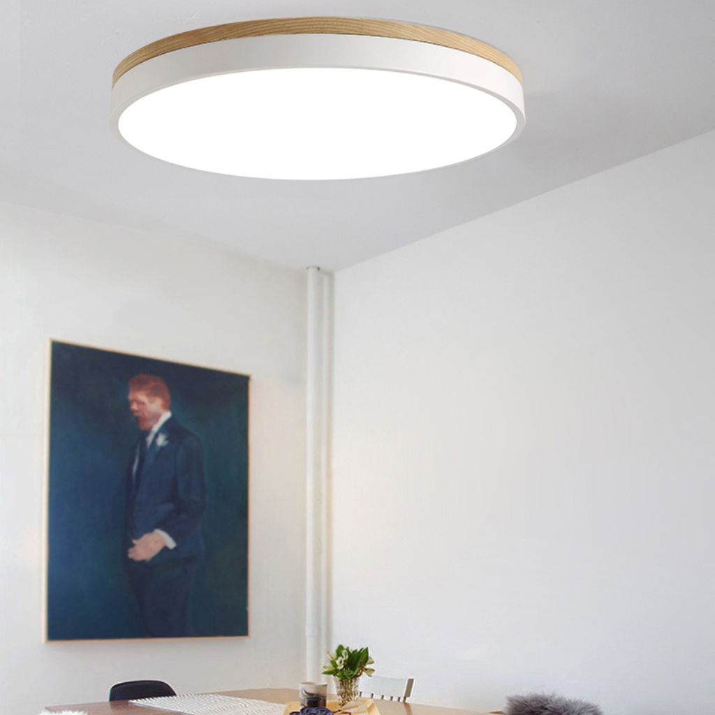 The Lumara Modern LED Ceiling Light