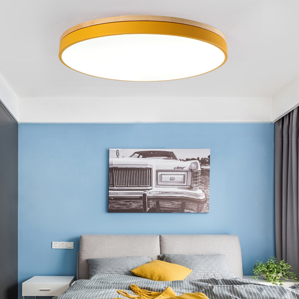 The Lumara Modern LED Ceiling Light