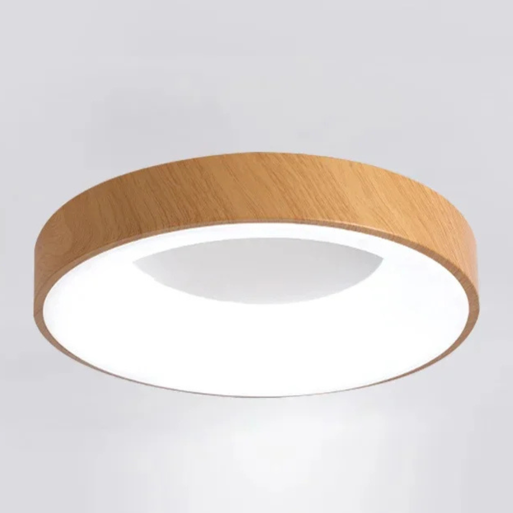 The Lunara Modern LED Ceiling Light Round Flush Mount Fixture