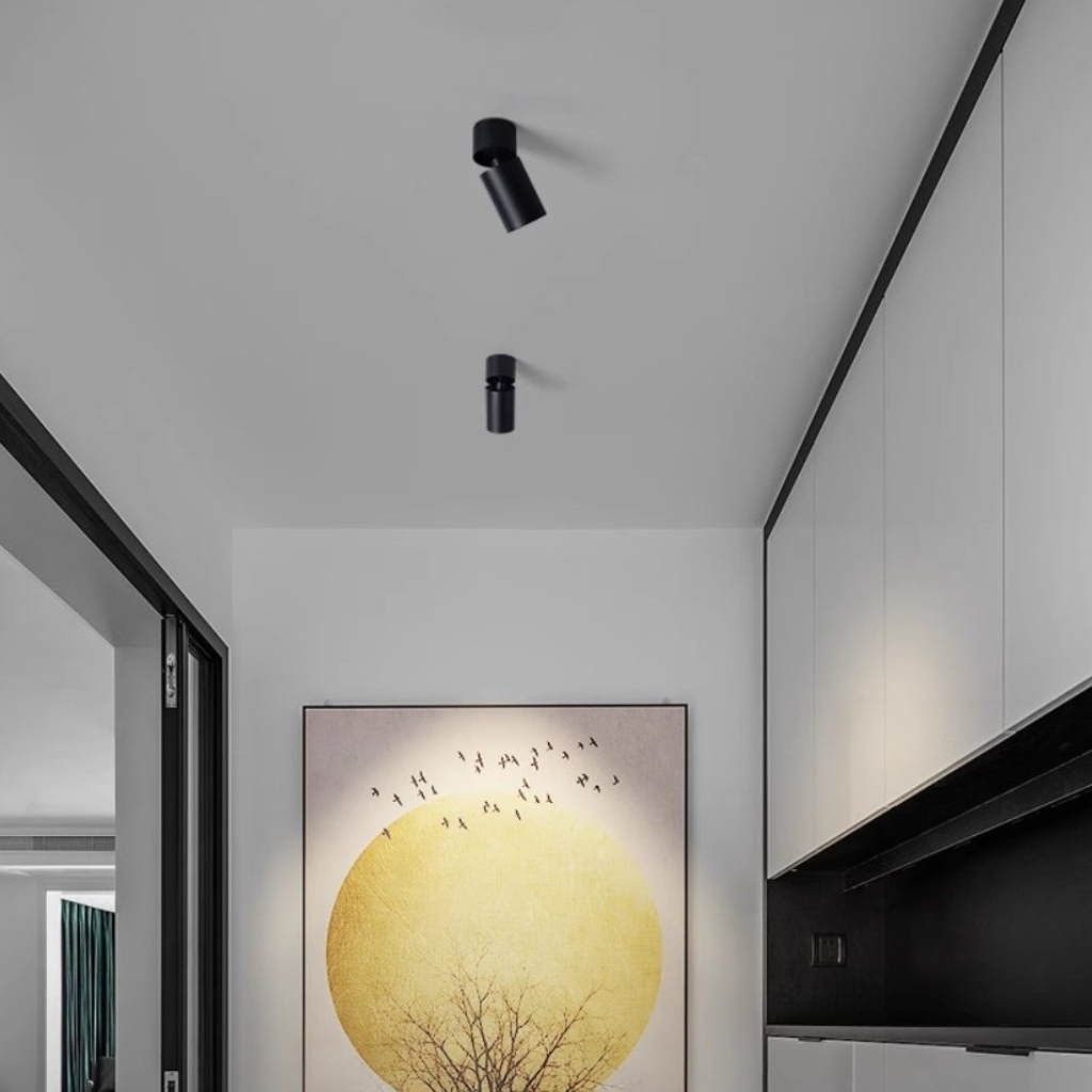 The Rotora Anti Glare Adjustable LED Spotlight