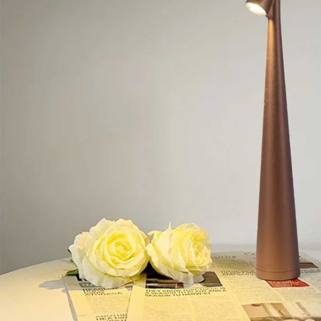 The Trioxa Rechargeable LED Desk Lamp