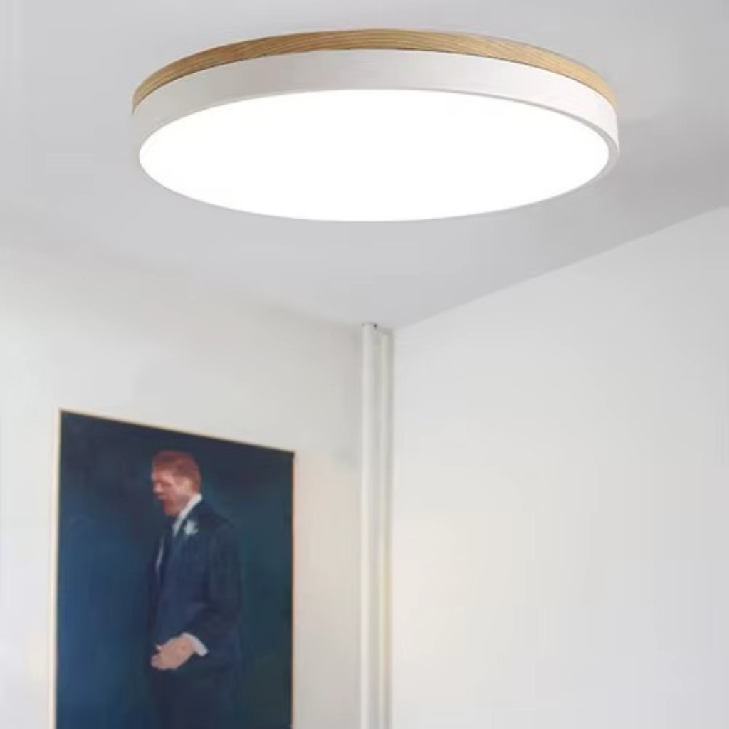 The Trivex LED Modern Living Room Ceiling Light